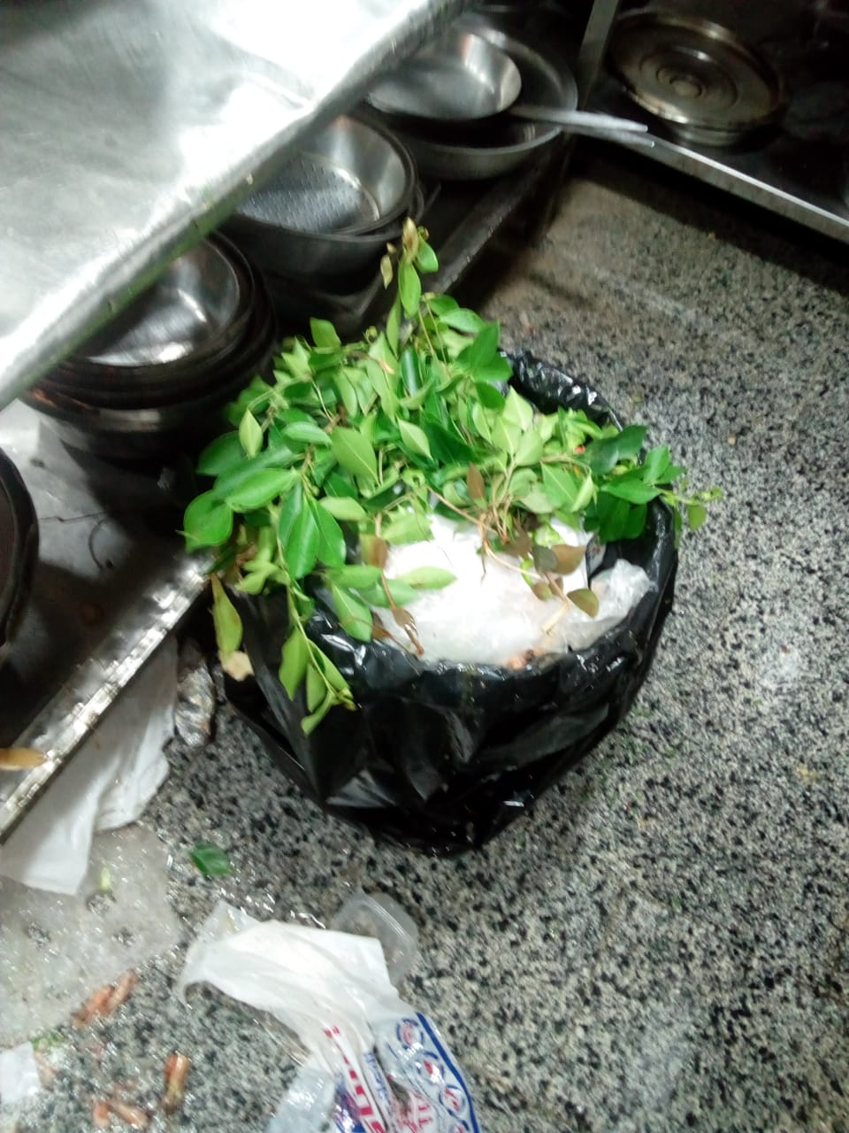 IMG-20210801-WA0010