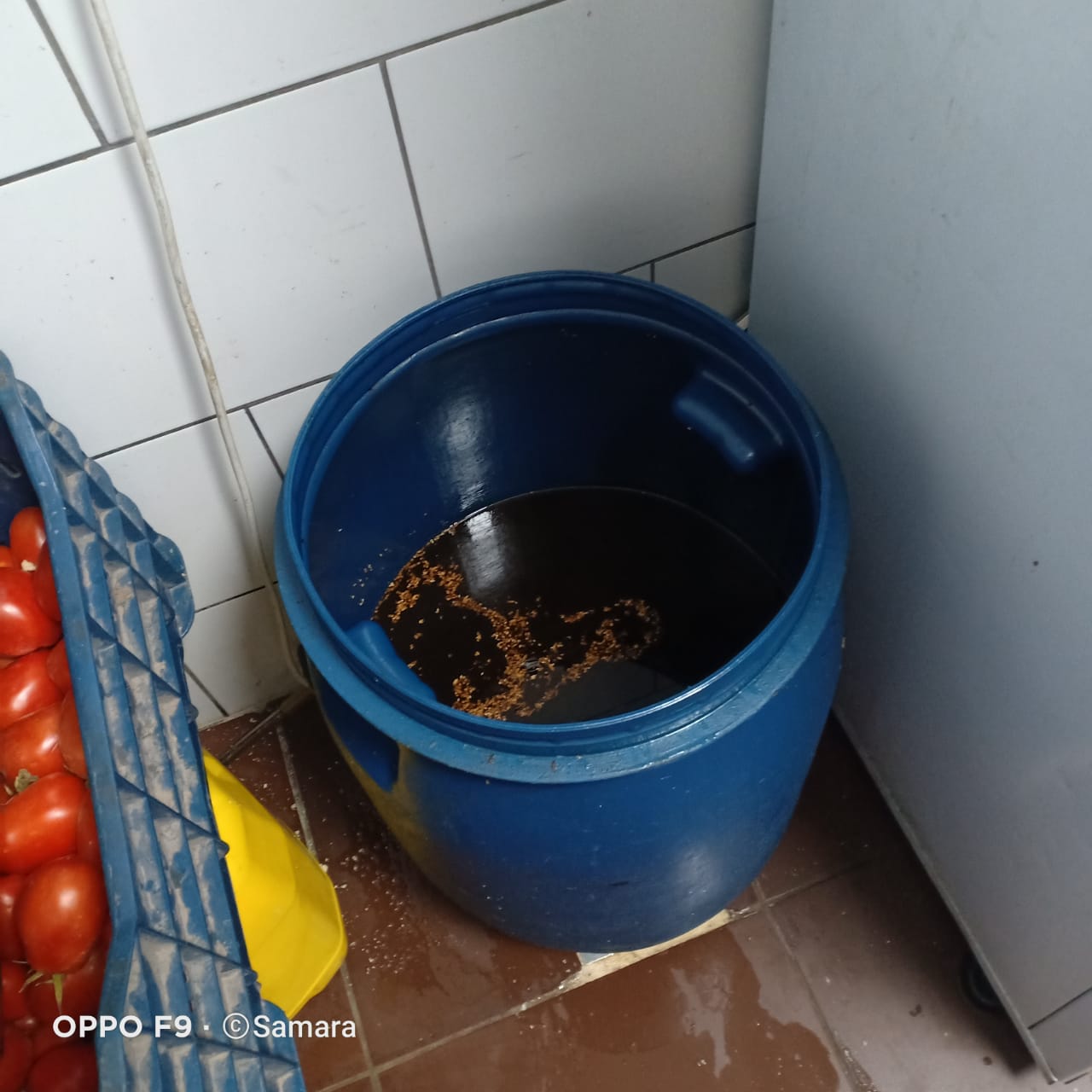 IMG-20210801-WA0011