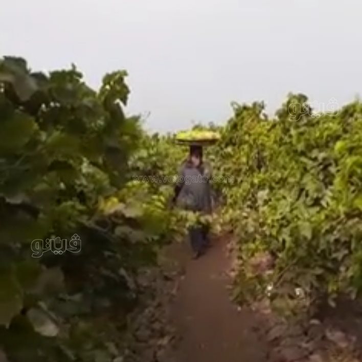 ٢٠٢١٠٨٢٩_١٠٣٩٢٦