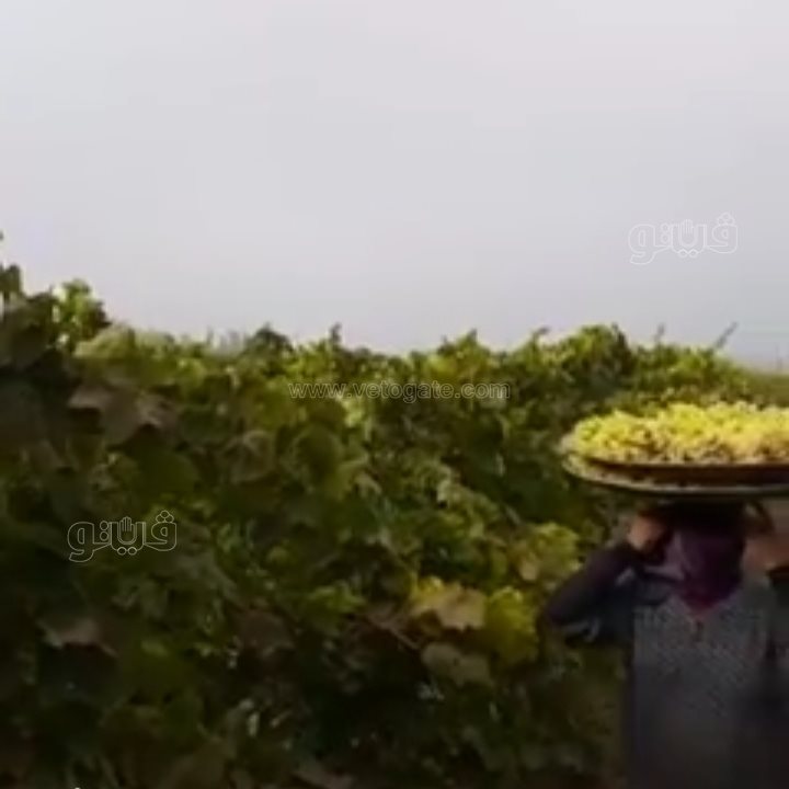 ٢٠٢١٠٨٢٩_١٠٣٩١٥