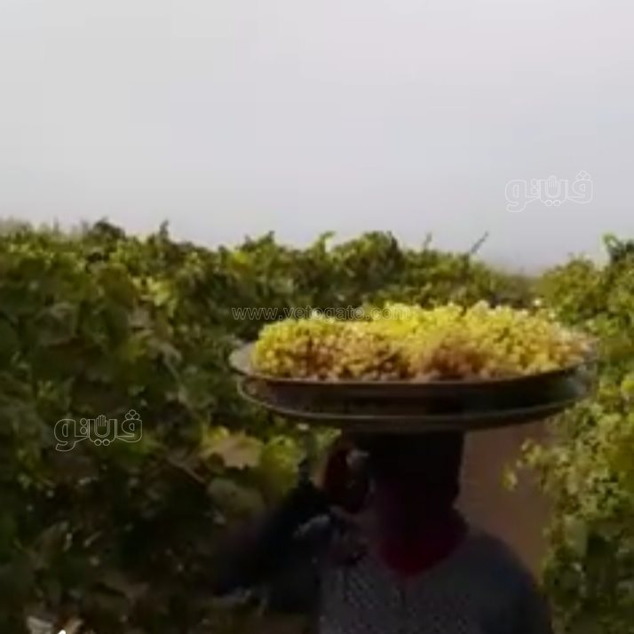 ٢٠٢١٠٨٢٩_١٠٣٩٠٠