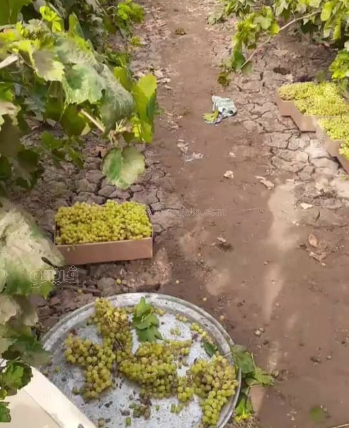 ٢٠٢١٠٨٢٩_١٠٣٨٤٤