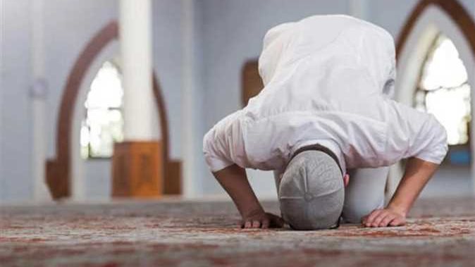 أهمية السجود، فيتو