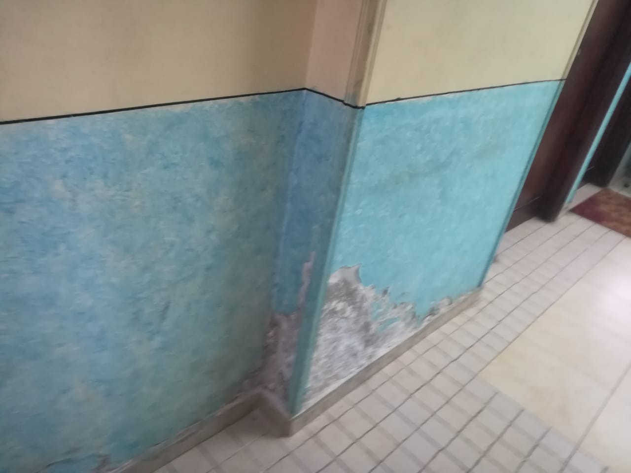 IMG-20210901-WA0043
