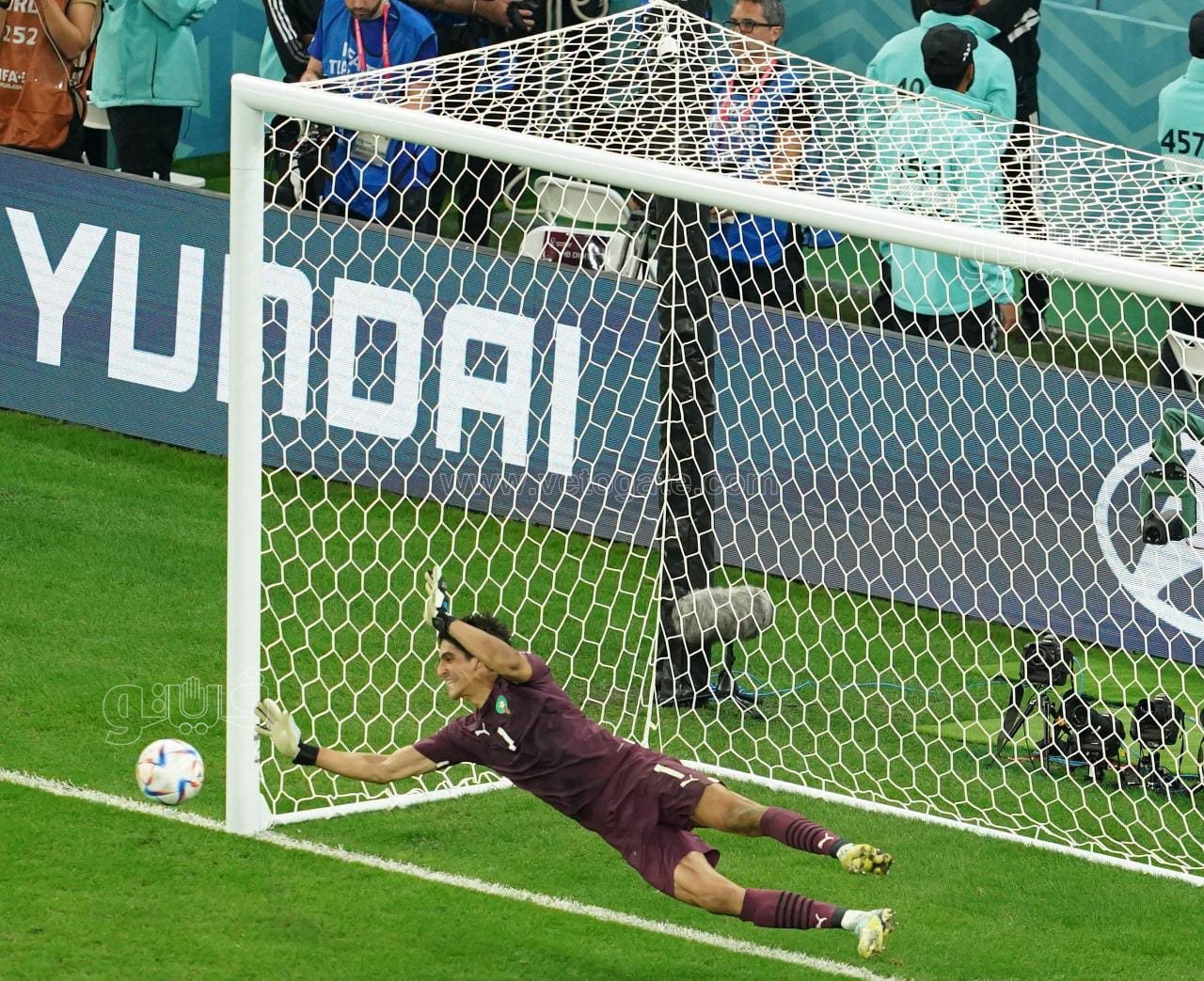 فيتو