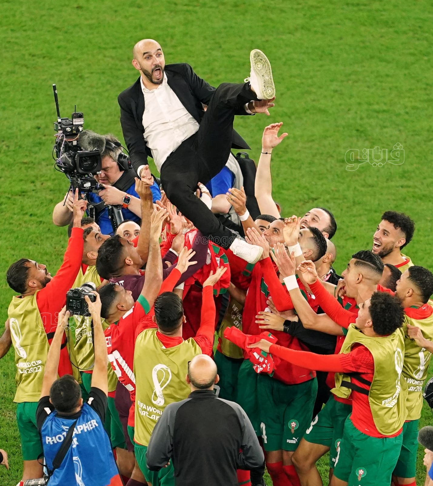 فيتو