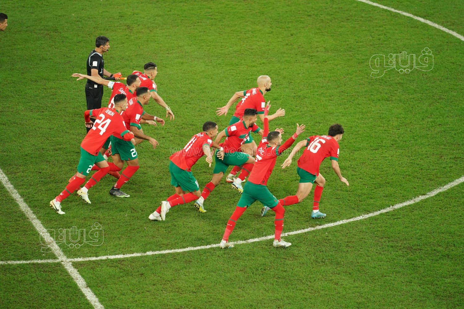 فيتو