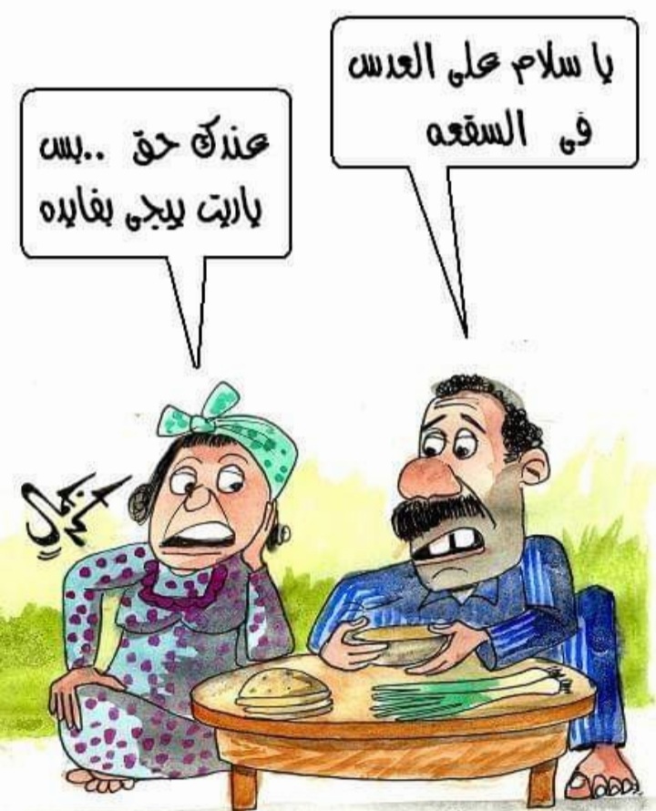 يرد