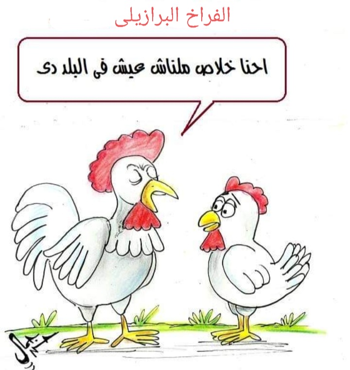 الفراخ
