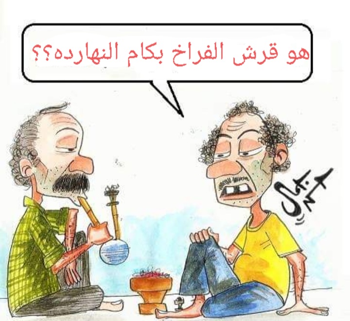 دجاج