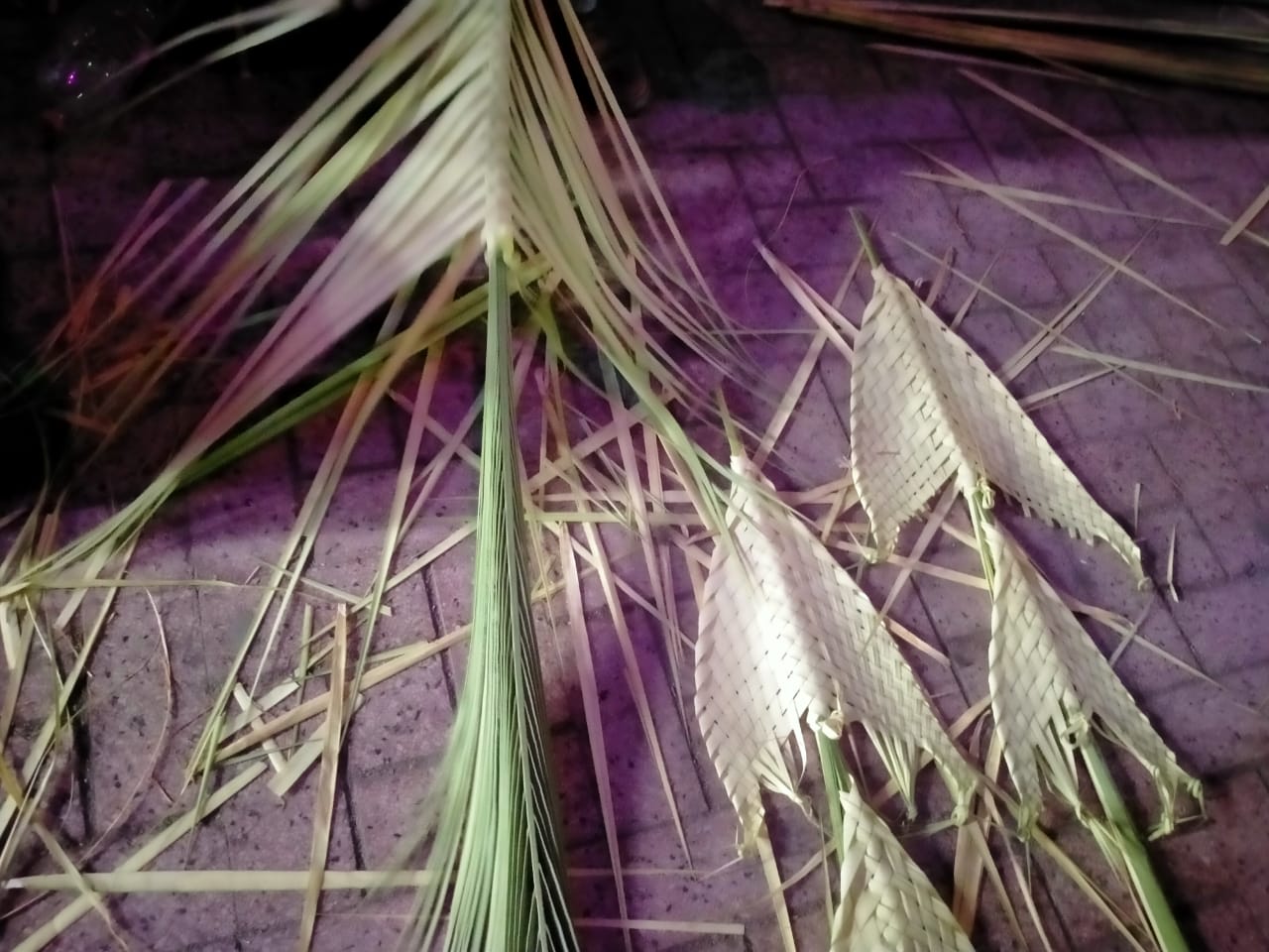 IMG-20230408-WA0071