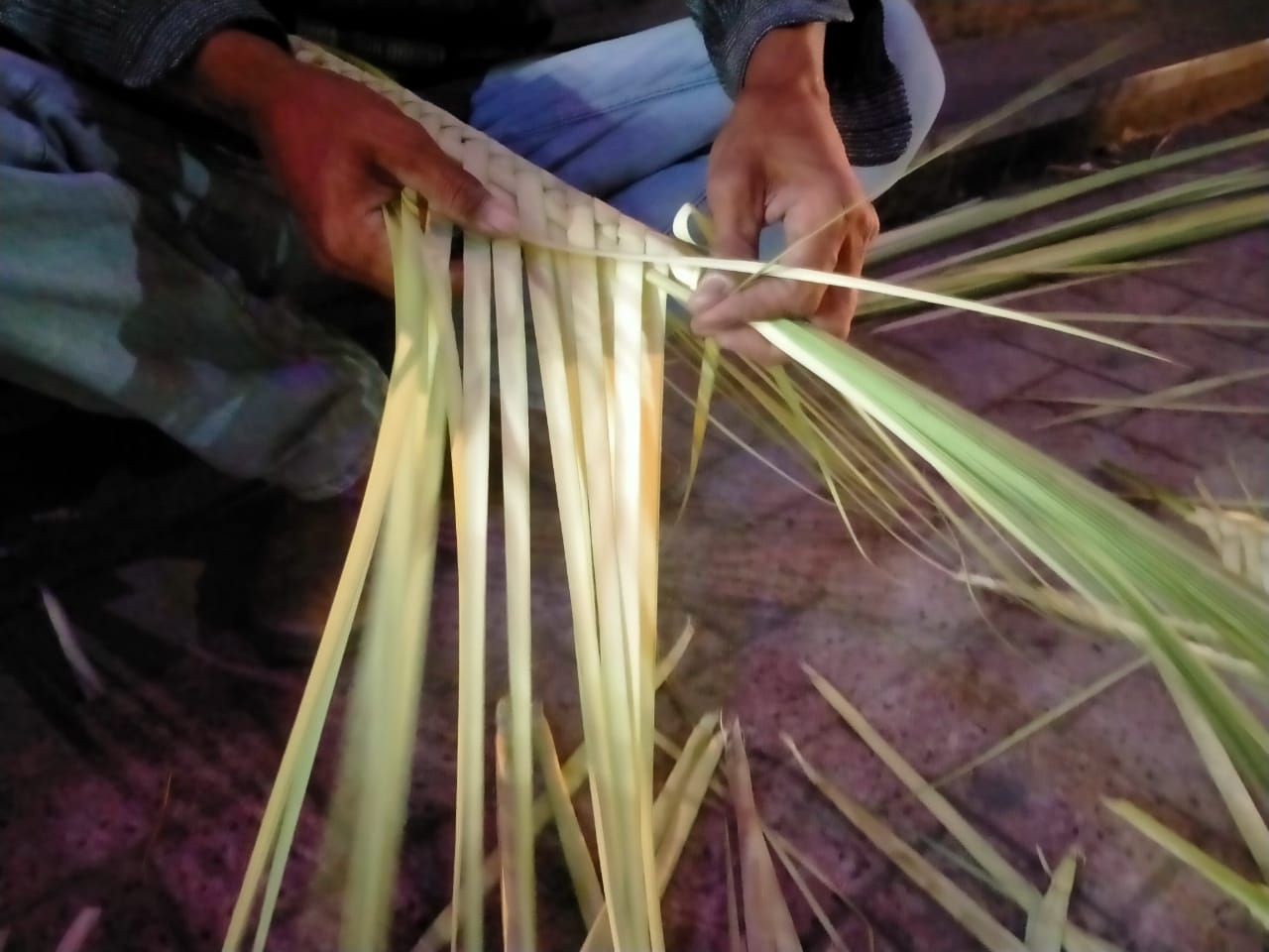 IMG-20230408-WA0073