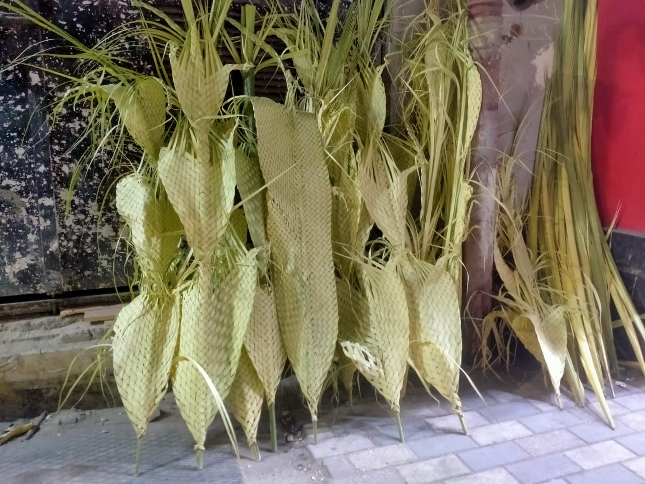 IMG-20230408-WA0076