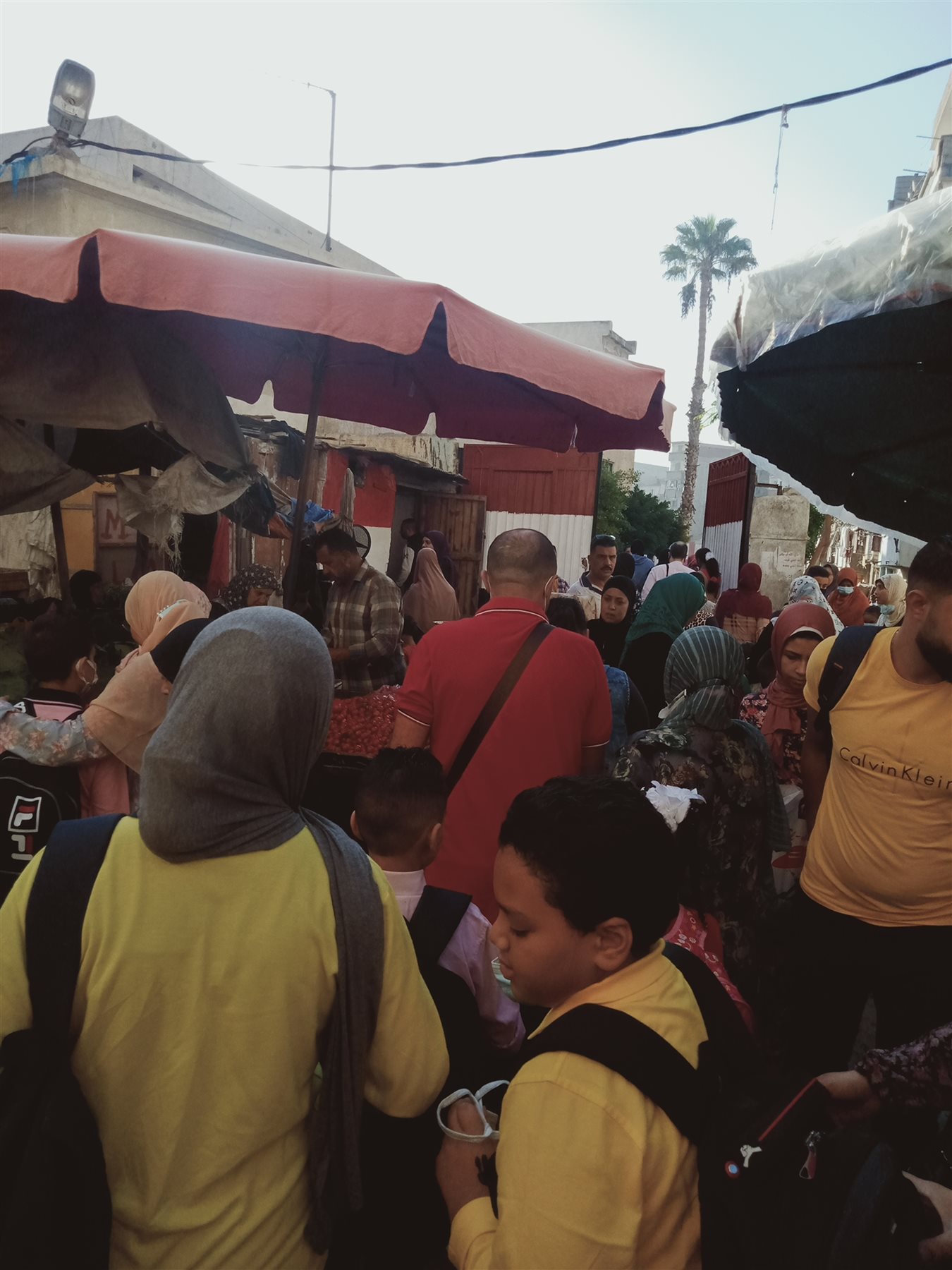 inbound8038619036011256231