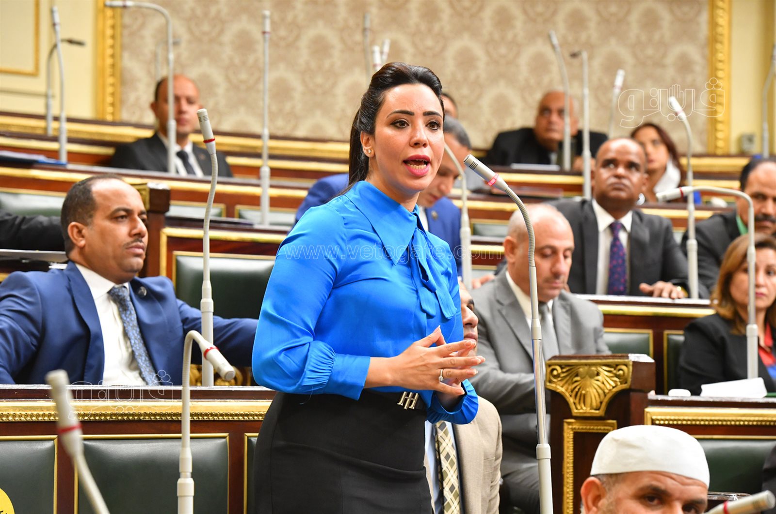 مجلس النواب (33)