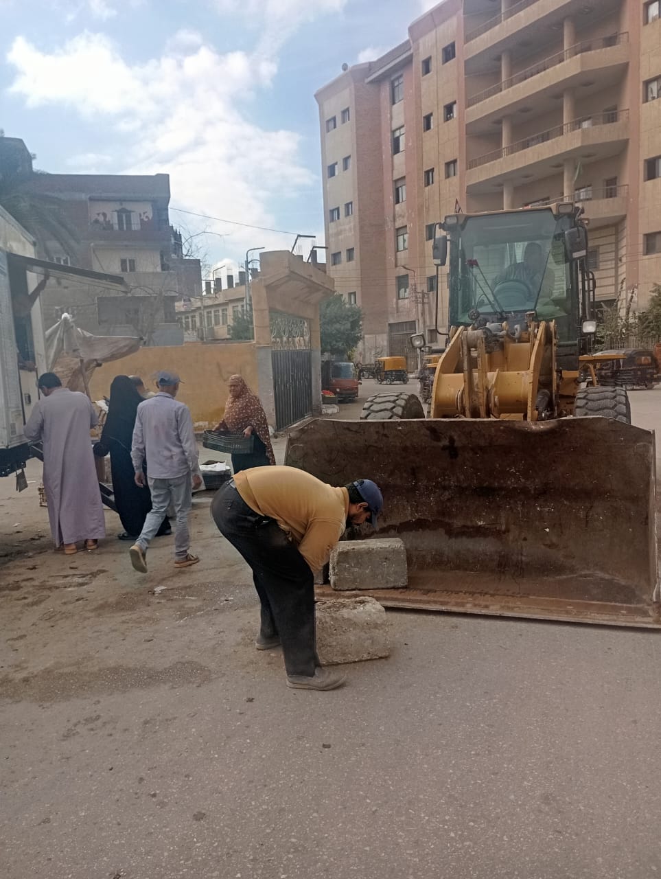 جانب من الحملات،فيتو