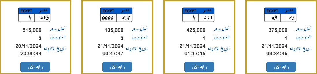 صقر وقوة بسعر يتجاوز نصف مليون جنيه.. أسعار اللوحات المعدنية المميزة 