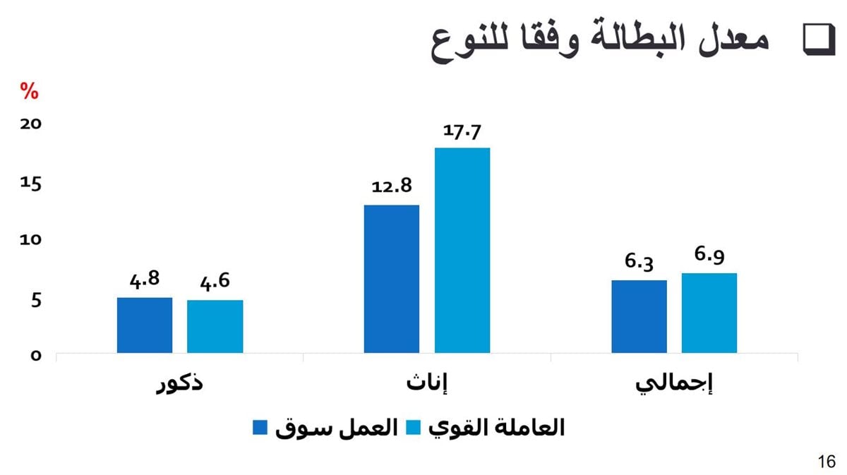 تقرير سوق العمل والذى حصلت فيتو على نسخة منه 