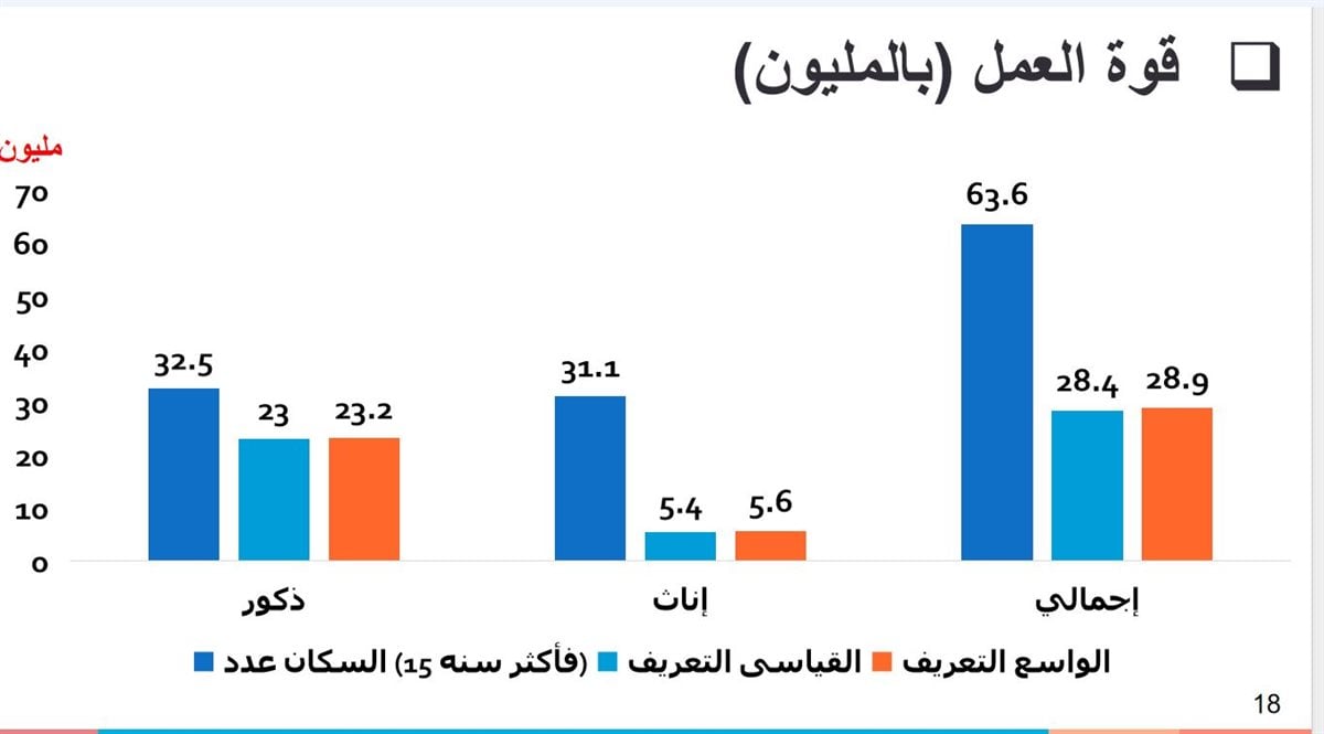 نسخة من التقرير الذى حصلت عليه فيتو 