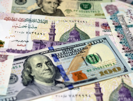 سعر صرف الدولار مقابل الجنيه، فيتو