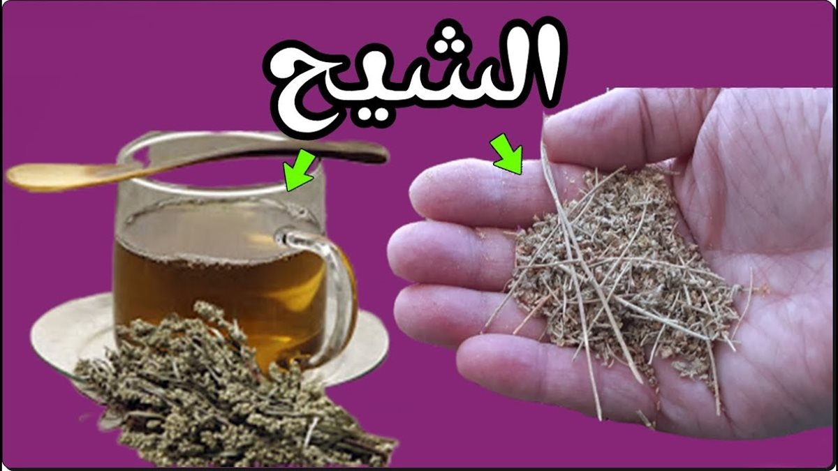 مشروب الشيح للصحة