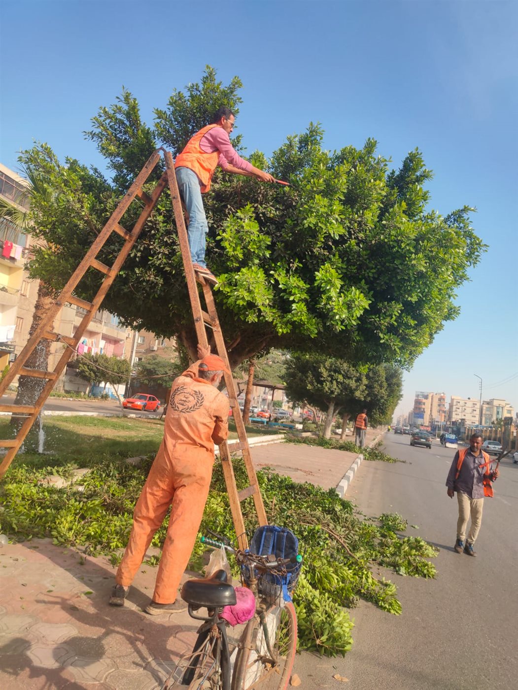 جانب من أعمال الفرق،فيتو