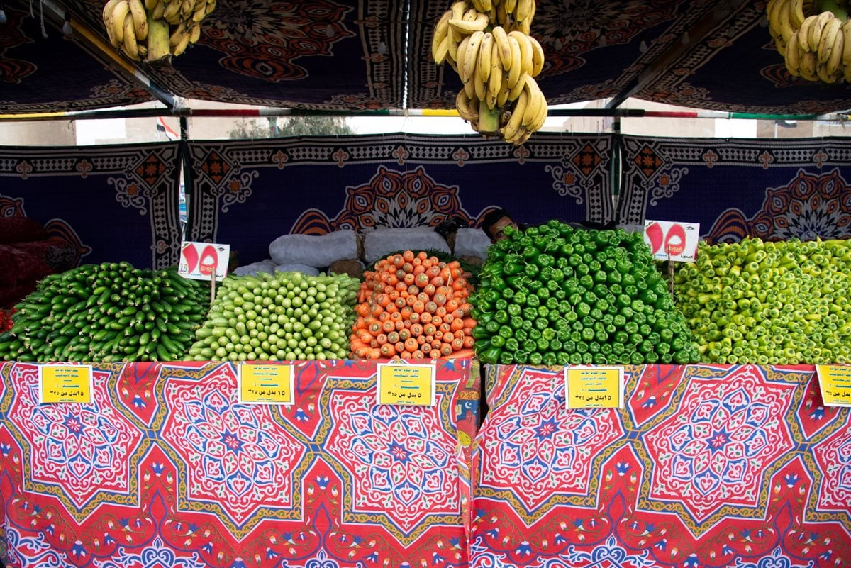 جانب من الافتتاح،فيتو