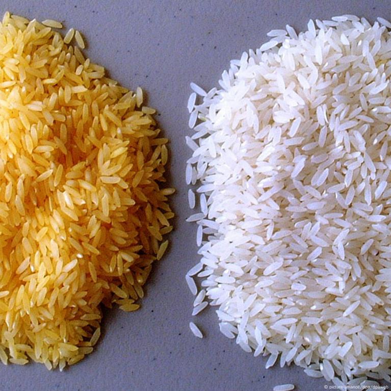 سعر الارز