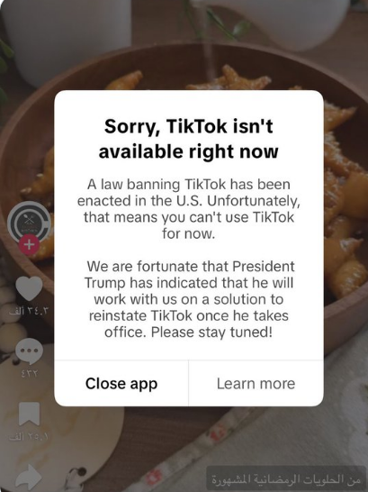 رسالة حظر التيك توك، فيتو