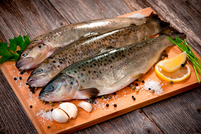 <strong>أسعار السمك</strong>