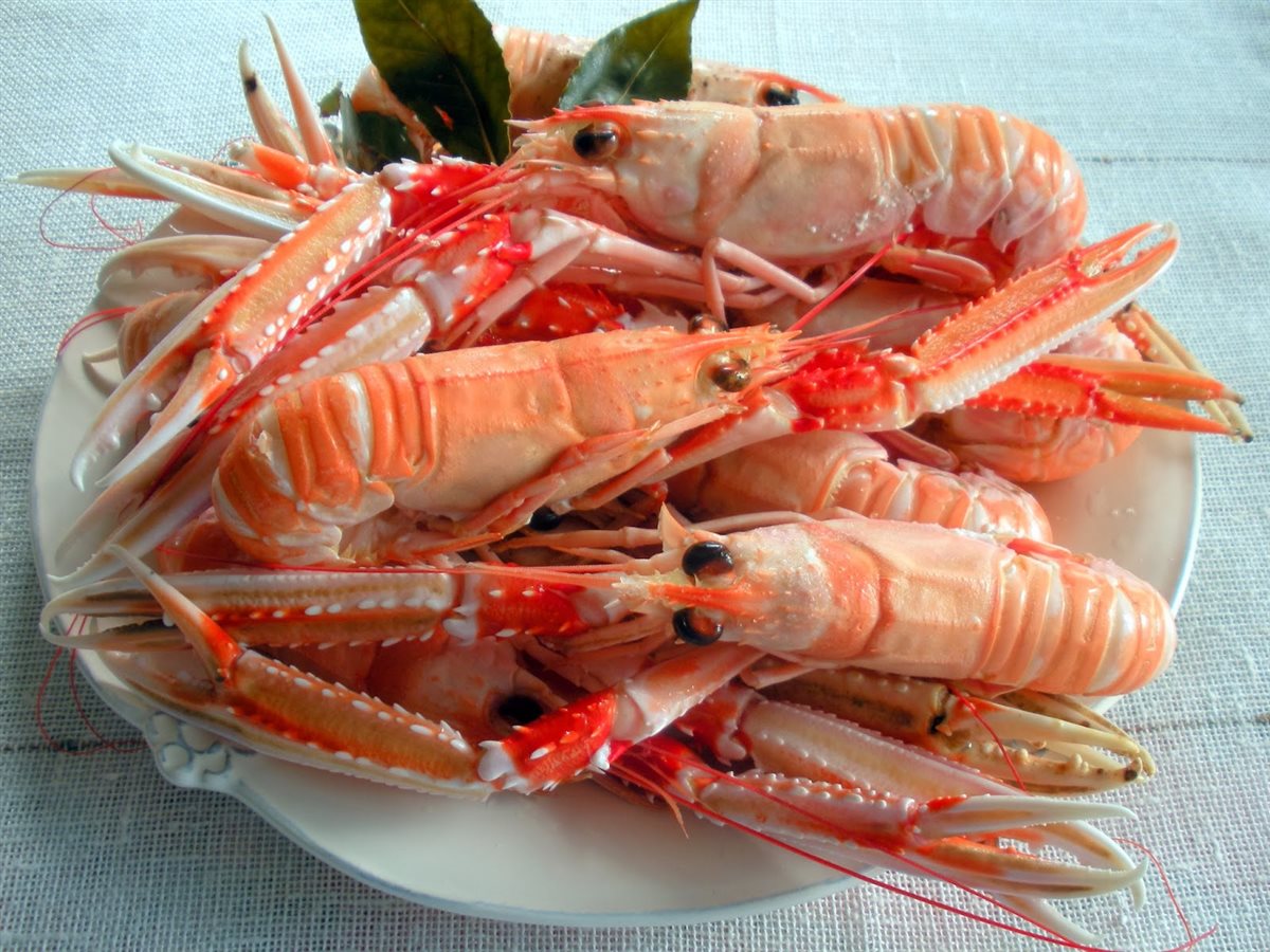 <strong>أسعار السمك</strong>