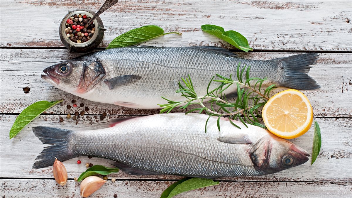 <strong>أسعار السمك</strong>