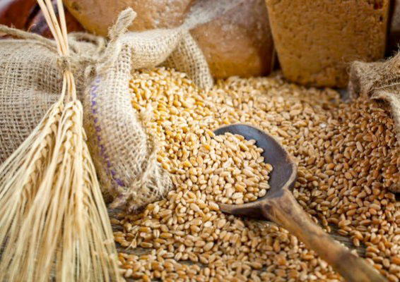 <strong>اسعار القمح والدقيق</strong>