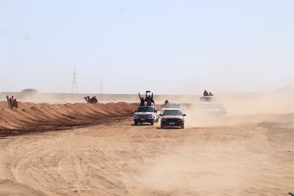 جانب من سباقات اليوم،فيتو