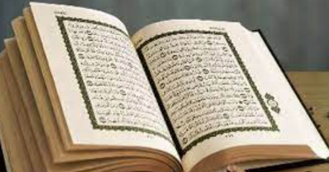 سر تفضيل الله للغة العربية، فيتو