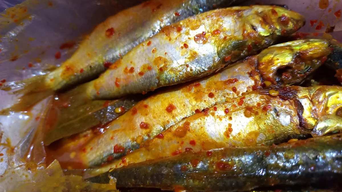 تخليل السردين