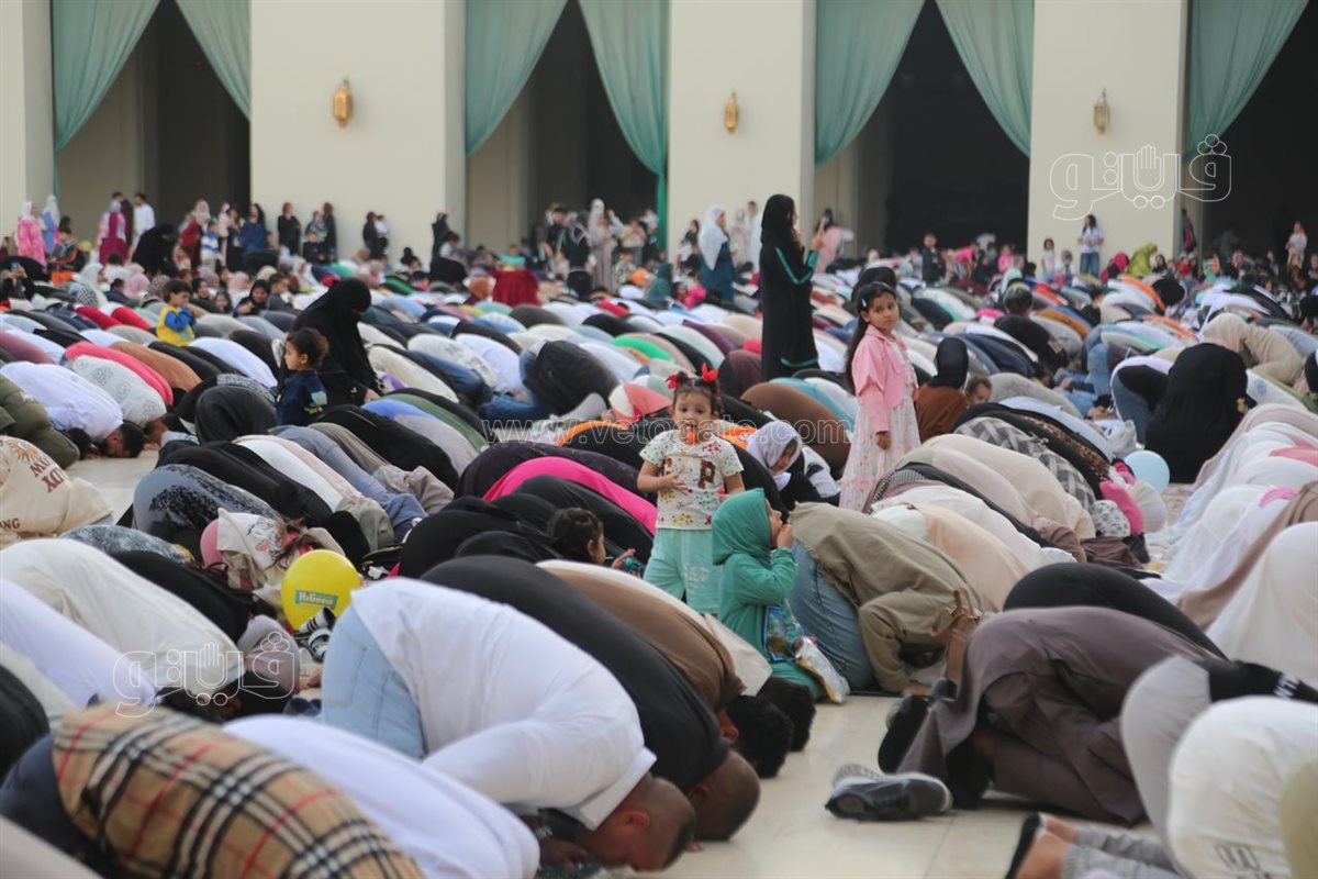 اختلاط النساء بالرجال (2)