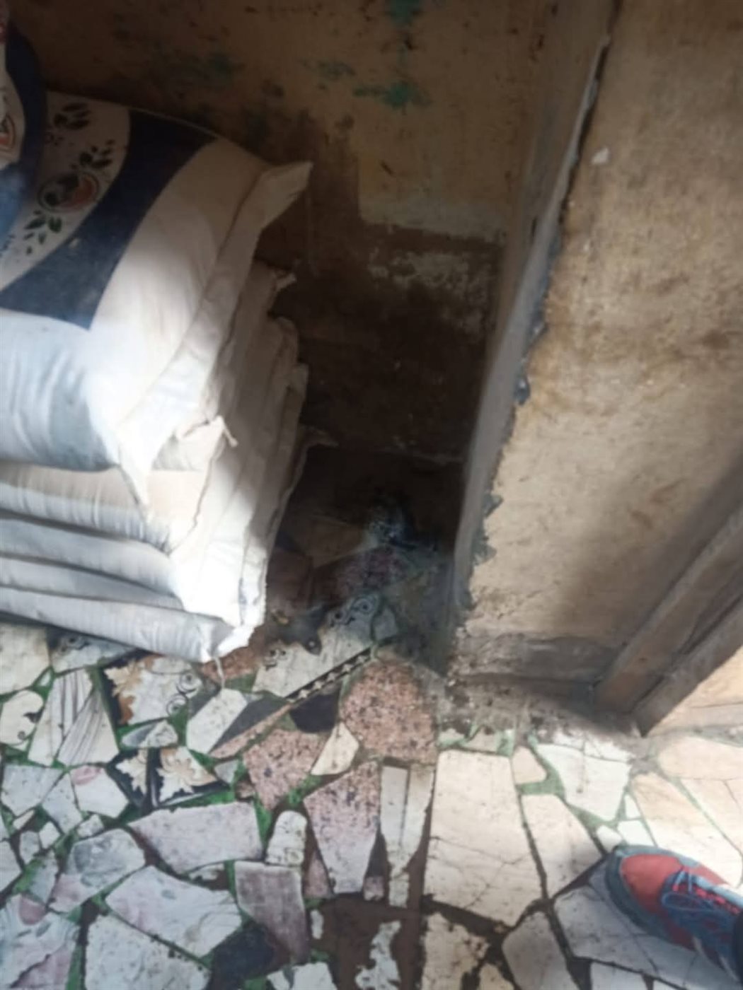 جانب من الحملات،فيتو