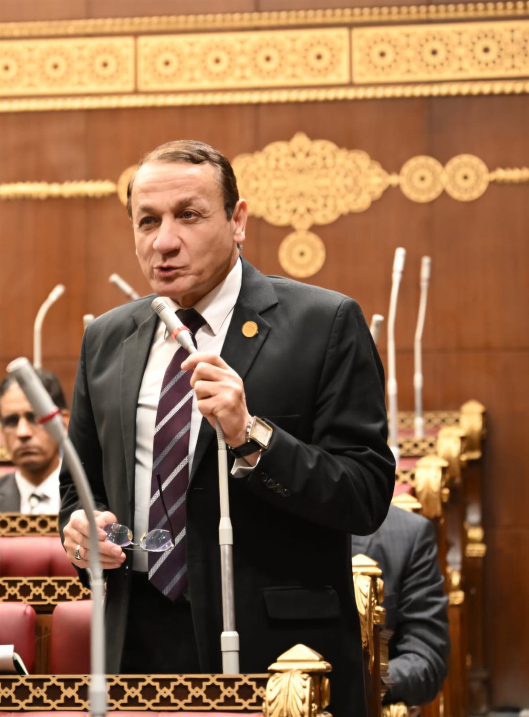 رئيس برلمانية حماة الوطن بالشيوخ