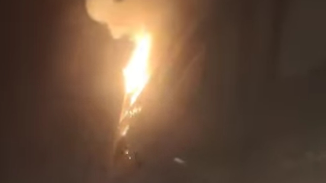 حريق مستشفى السلام بمدينة المنيا، فيتو