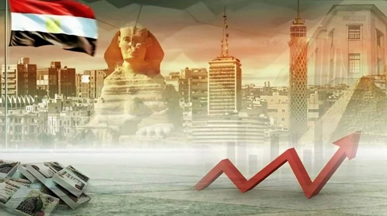 تشجيع مشروعات الاستثمار في مصر، فيتو