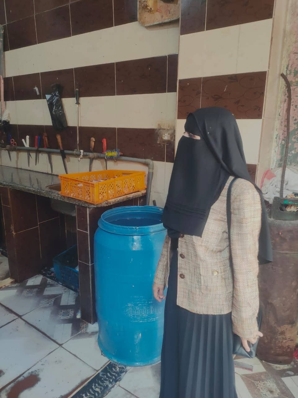 جانب من الحملة، فيتو