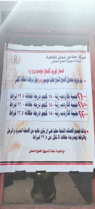فرحة أهالي القليوبية فرحتين بموسم حصاد القمح (15)