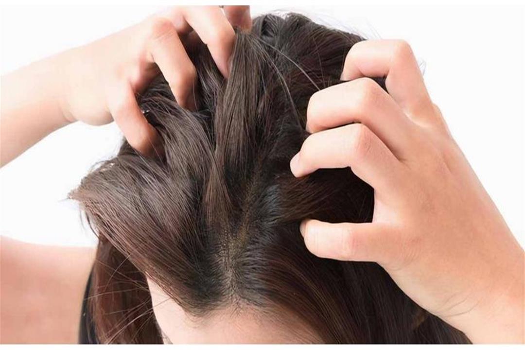 وصفة طبيعية لفرد الشعر&nbsp;