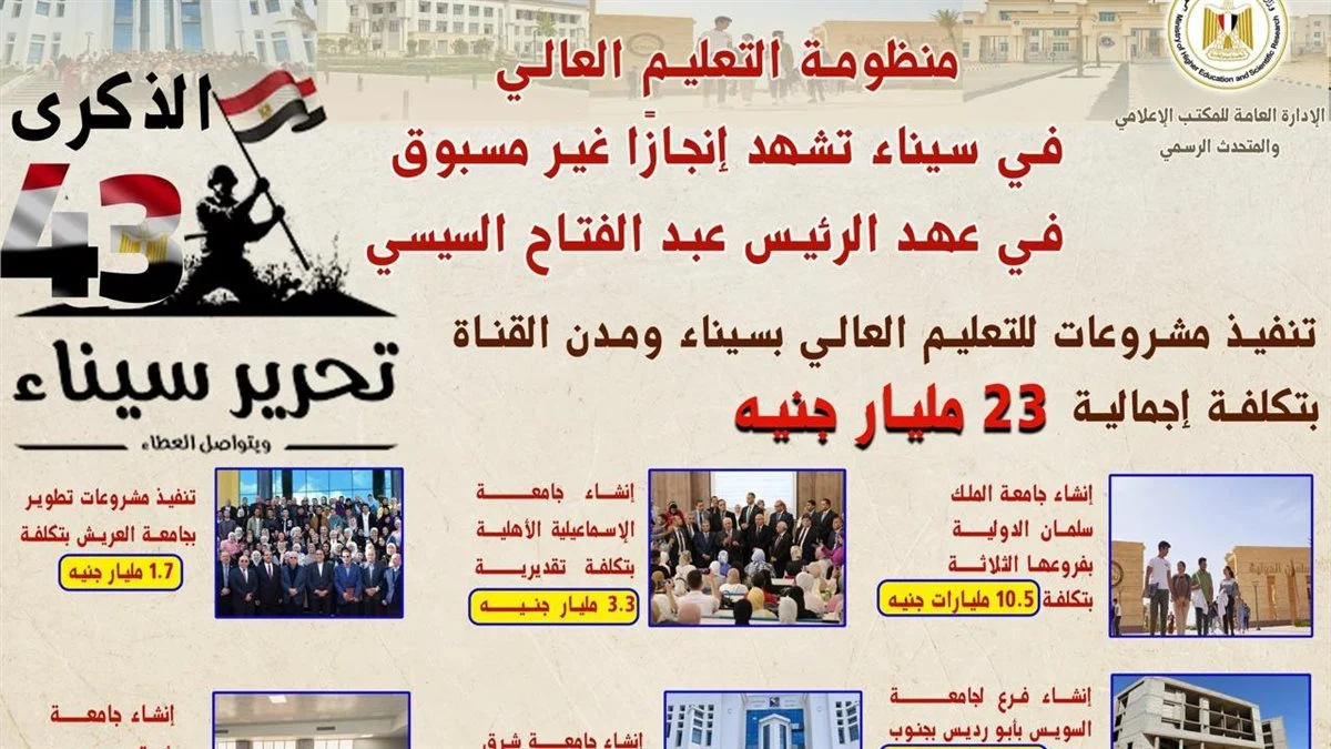 مشروعات التعليم العالي في سيناء، فيتو