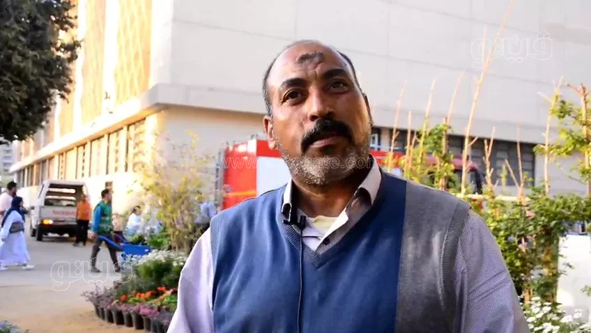 معرض زهور الربيع