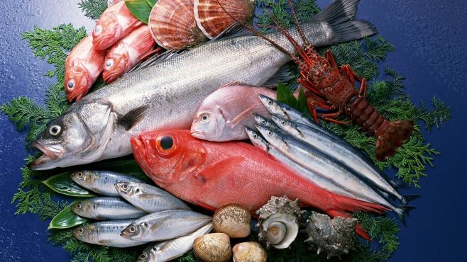 اسعار السمك اليوم