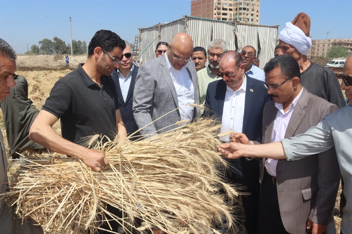محافظ القليوبية يتابع حصاد محصول القمح، فيتو
