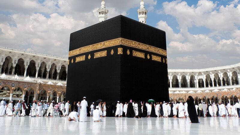 حج الحامل والمرضع، فيتو