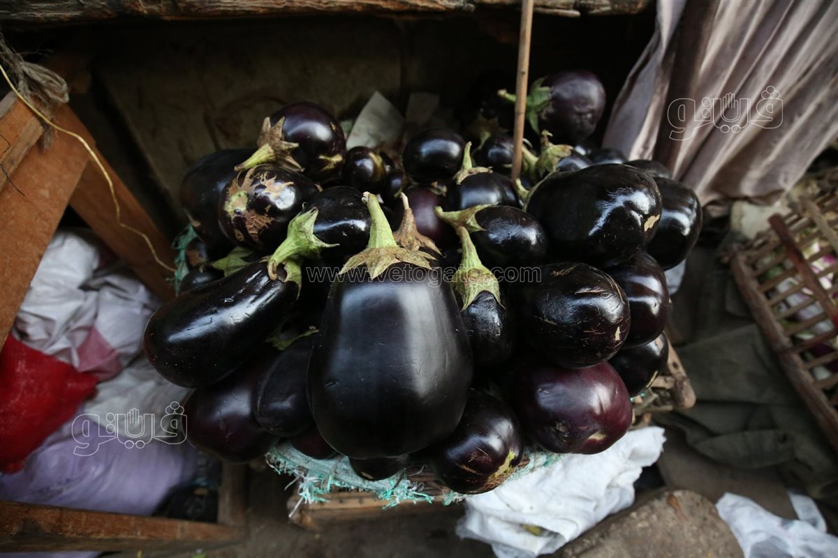 أسعار الخضروات